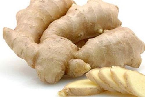 Gừng – vị thuốc quý