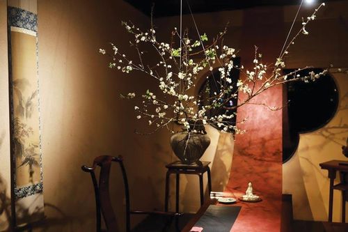 Tết đâu chỉ 'mai Nam đào Bắc'