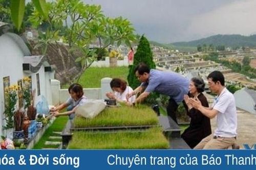 Vái lạy quê nhà!