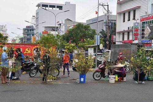 Vàng tươi chợ mai cành
