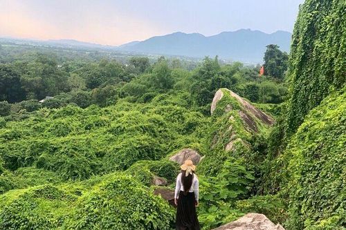 'Ngọn đồi 2 triệu đô la' rạng ngời đón Xuân sang