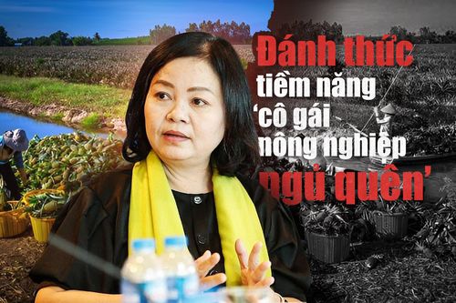 Đánh thức tiềm năng 'cô gái nông nghiệp ngủ quên'