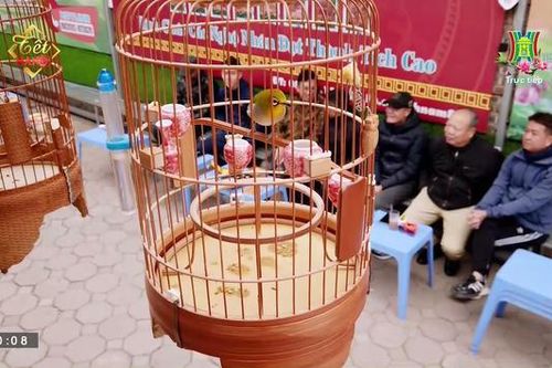 Thú chơi chim cảnh của người Hà Nội