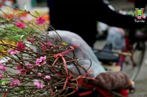 Không khí Tết ngày cuối năm ở Hà Nội