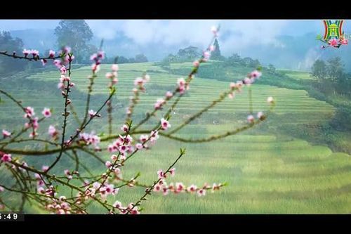 Sapa nơi gặp gỡ đất trời