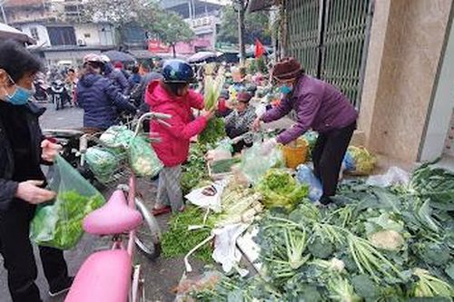 Hàng hóa dồi dào, hoa tươi, thịt gà, bò tăng giá ngày 30 Tết