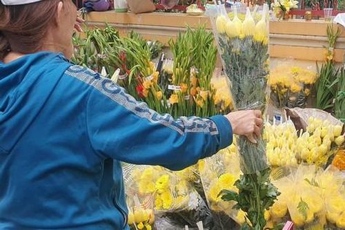 Hoa cúc đắt hàng, giá tăng trước Tết Nguyên đán