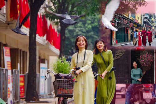 Cánh chim hòa bình tung cánh tuyệt đẹp trong sớm mùng 1 Tết Quý Mão giữa lòng Thủ đô