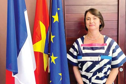 Việt Nam - Đối tác quan trọng của Pháp