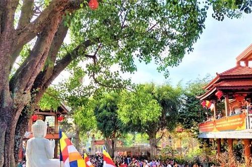 Thành tâm gửi mong cầu vào cây ước nguyện đầu xuân