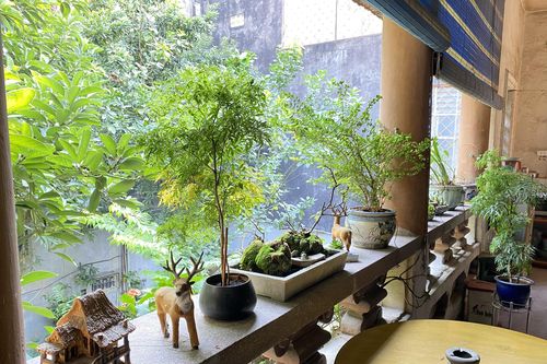 'Tết chữa lành' trong căn biệt thự hơn 300m2 giữa phố cổ Hà Nội