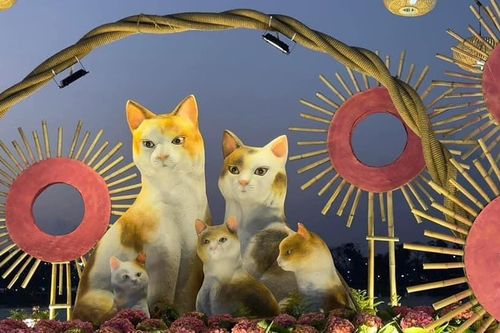 Ngắm nhìn linh vật Quý Mão đa sắc thái trên các tỉnh thành cả nước