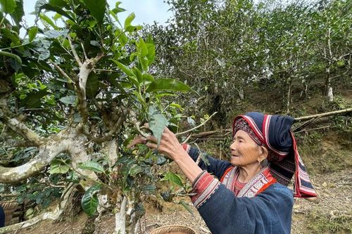 Chạm vào miền cổ tích