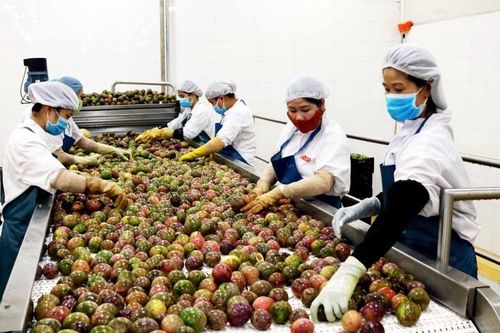 Chuyện của người đi đầu