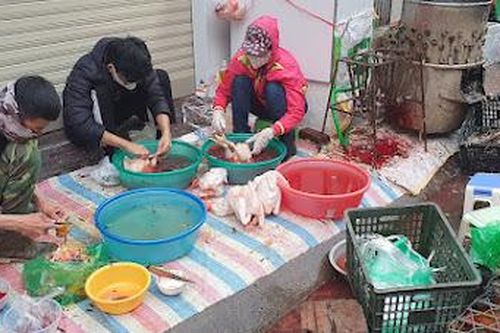Không có diễn biến bất thường về giá