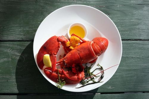 Trung Quốc cân nhắc 'xóa án' cho tôm hùm Australia