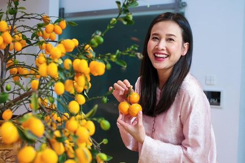 Nghệ sĩ Việt ở nước ngoài đón Tết Nguyên đán