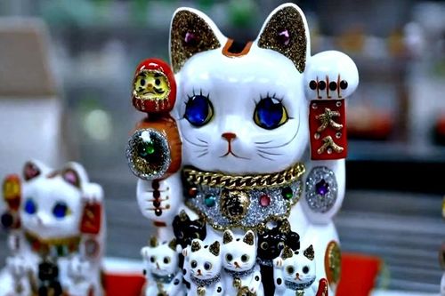 Con mèo được yêu thích nhất