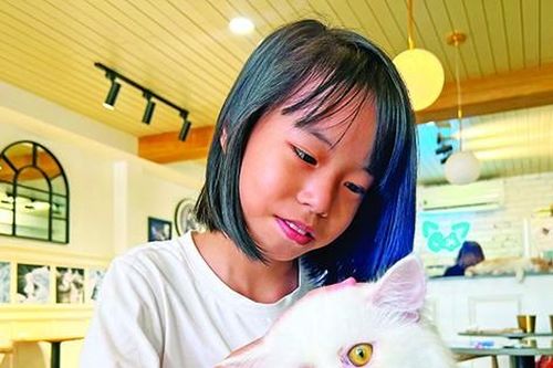 Quán cà phê mèo - vé về tuổi thơ