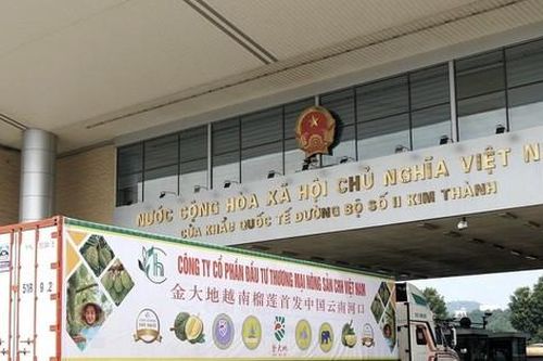 Hoa quả Việt ùn ùn xuất sang Trung Quốc trong 2 ngày Tết