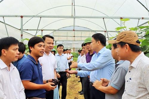 Đổi mới lãnh đạo của tổ chức Đảng trong phát triển nông nghiệp, nông thôn