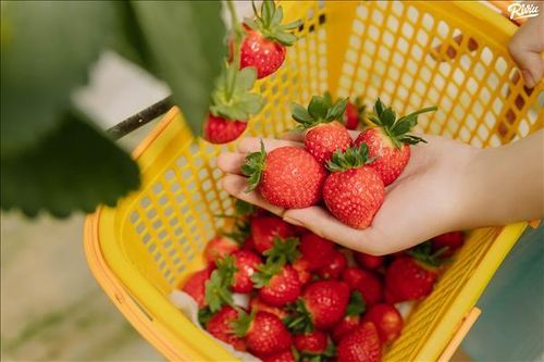 Được ăn, được nói, được gói mang về!