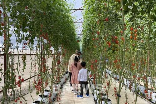Công nghệ 'chắp cánh' cho du lịch nông thôn