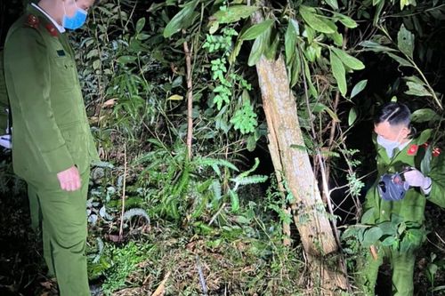 Huy động hơn 100 cảnh sát xuyên đêm vây ráp rừng nguyên sinh truy lùng nghi phạm giết người