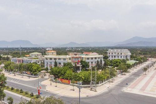 Kỳ vọng Cam Lâm