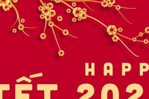 Làm thế nào để có một năm mới thuận lợi?