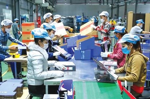 Những cánh chim không mỏi