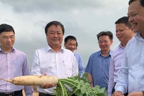 Người làm nông nghiệp đã nghĩ đường dài