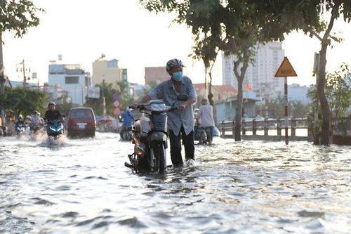Cảnh báo triều cường gây ngập úng nhiều khu vực ven biển Nam Bộ