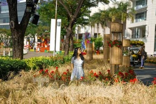 Mùng 3 Tết, người dân đội nắng 'check-in' đường hoa có ruộng lúa, rẫy bắp thật ở Sài Gòn
