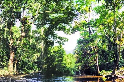 Vì tương lai phát triển bền vững - Bài 1: Cần sự chung tay của cộng đồng