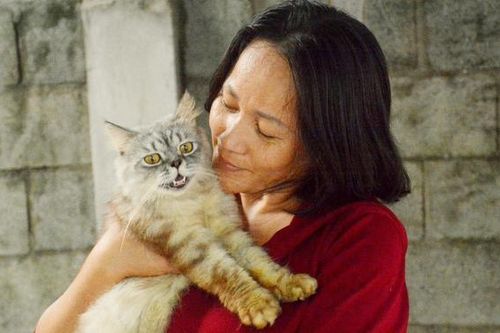 'Người mẹ' của hàng trăm bé mèo