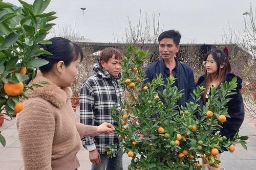 Thợ mỏ TKV: Hân hoan đón Tết an vui, Xuân hạnh phúc