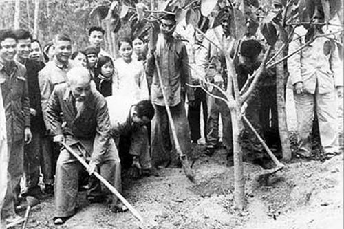 Bác Hồ 'khai sinh' Tết trồng cây