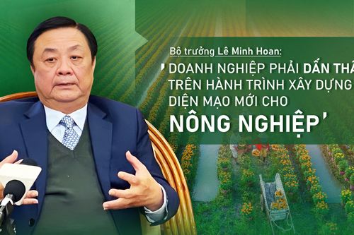 'Doanh nghiệp phải dấn thân trên hành trình xây dựng diện mạo mới cho nông nghiệp'