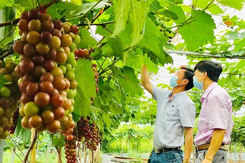 Đồng hành với nông dân