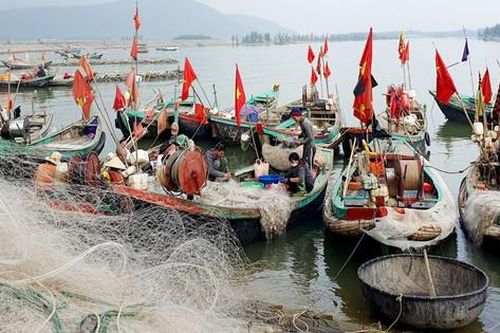 Cận cảnh ngư dân Hà Tĩnh trúng 'lộc biển' đầu năm