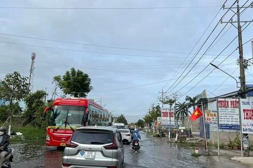 Bạc Liêu: Mùng 4 Tết, triều cường bất ngờ đe dọa vùng trồng lúa