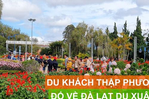 Du khách thập phương đổ về Đà Lạt du xuân