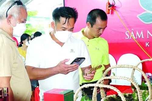 Cây 'đổi đời'