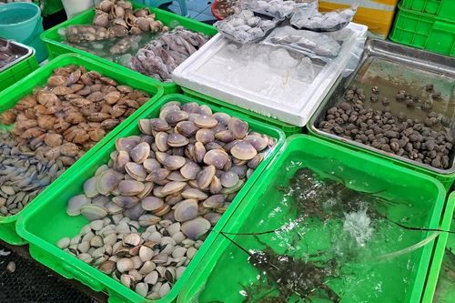 Vũng Tàu: Hải sản tươi sống hút hàng du khách