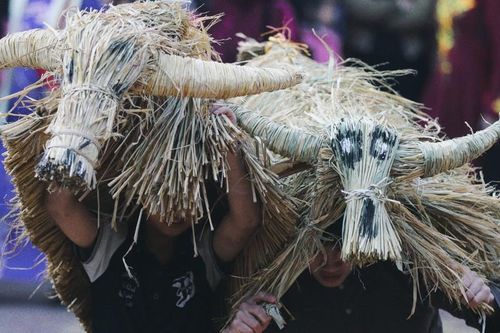 Độc đáo lễ hội 'Trâu rơm bò rạ' tôn vinh văn hóa lúa nước