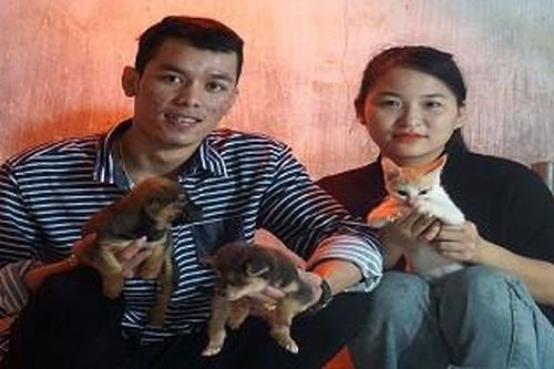 'Biệt đội' cứu hộ chó, mèo ở Đà Nẵng