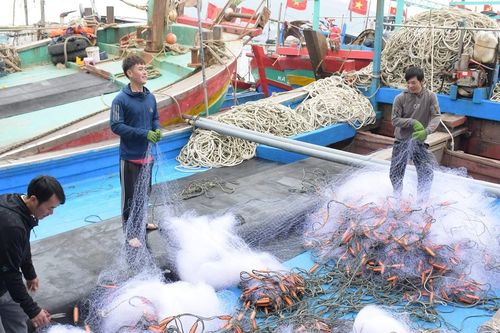 Ngư dân Nghệ An tất bật chuẩn bị cho chuyến 'mở biển' đầu năm