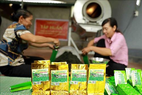 Tạo 'bệ phóng' cho sản phẩm OCOP phát triển ở các huyện miền núi