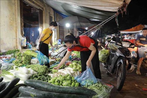 Hà Nội: Hàng hóa dồi dào, giá rau xanh 'hạ nhiệt'